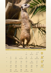 Nástenný kalendár Zvieratá 2023.