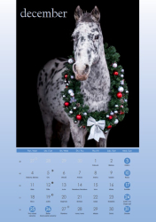 Kalendár na zavesenie Zvieratá.