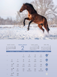 Nástenný kalendár s menami Kone.